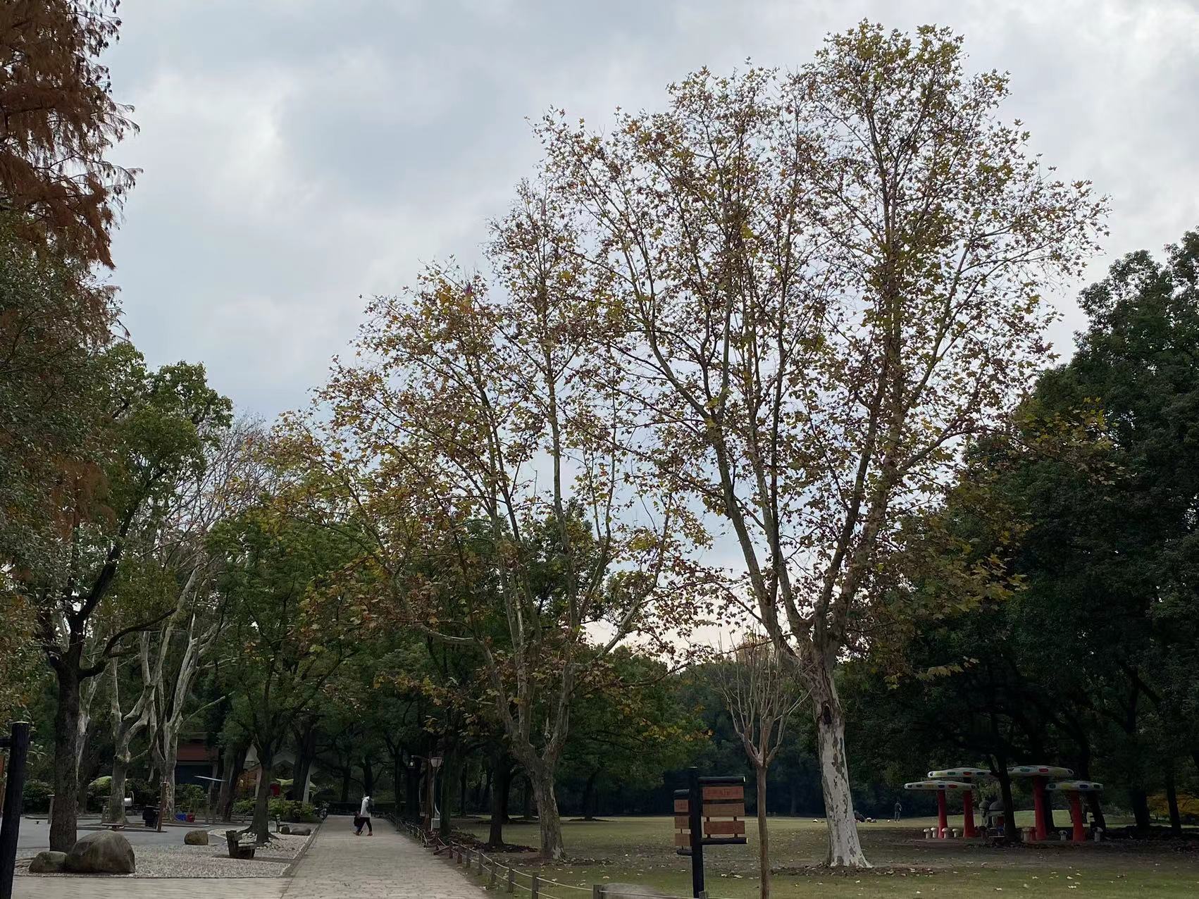 微信图片_20221209090111.jpg 微信图片_20221209090111.jpg