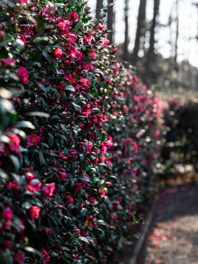 微信图片_20230112183332.jpg 微信图片_20230112183332.jpg