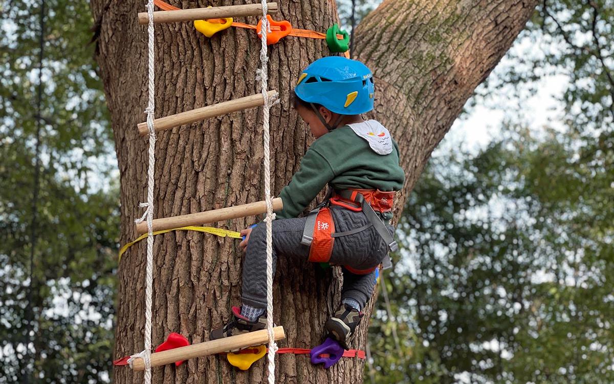 辰山攀树 (1).jpg