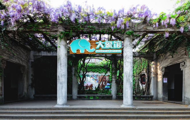 象宫.jpg