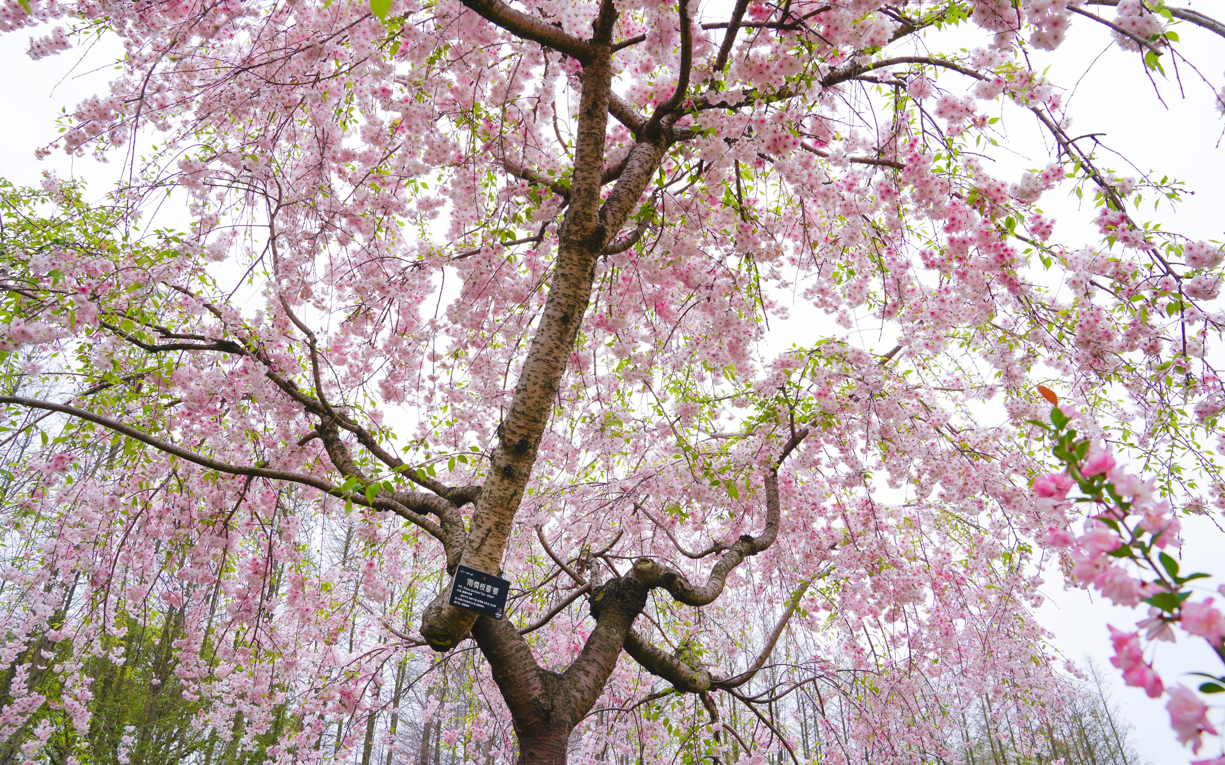 微信图片_20220402120508.jpg 微信图片_20220402120508.jpg