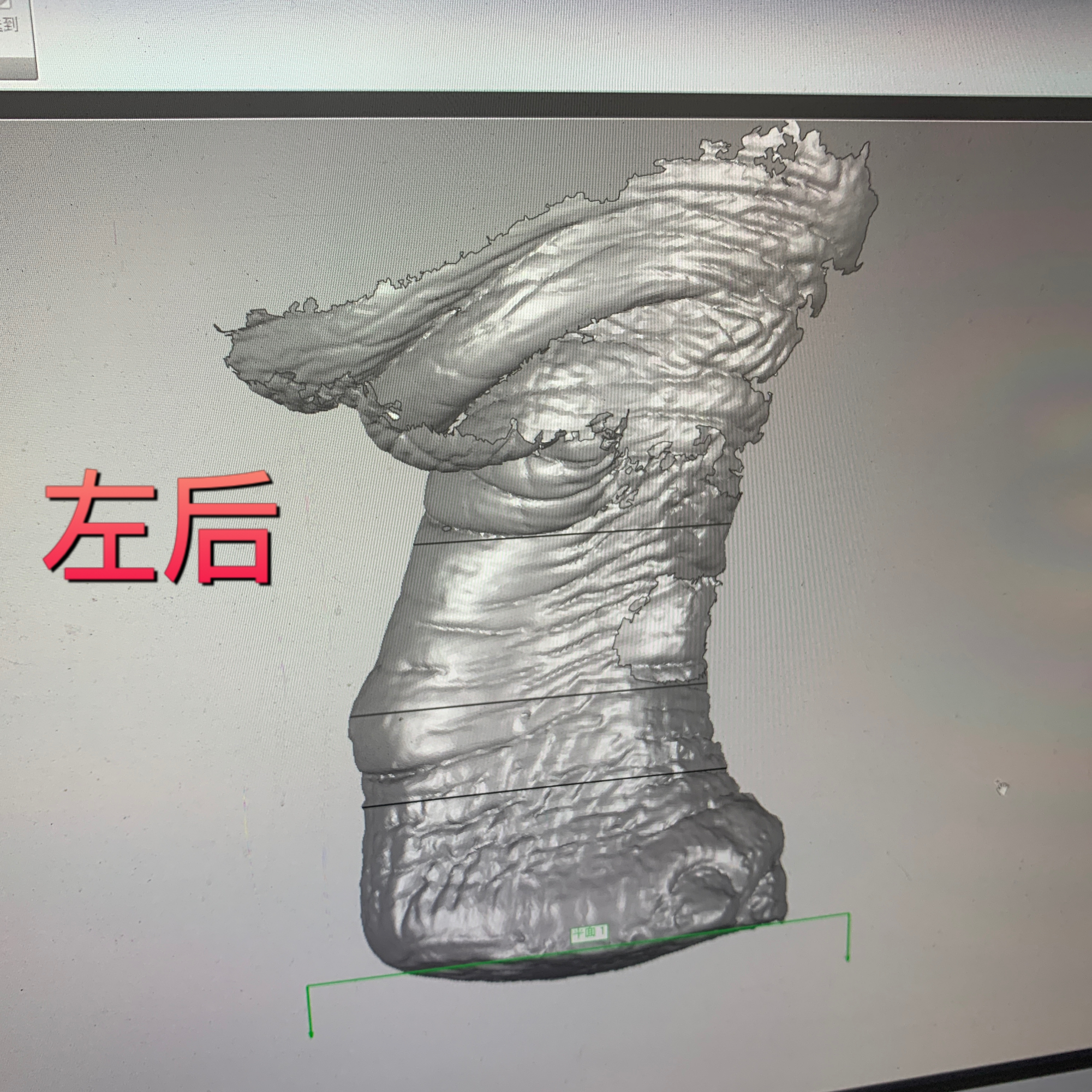 左后.jpg