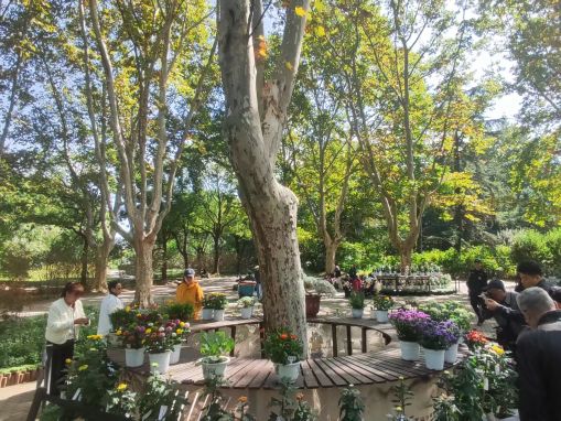 2169e0e8069555b8d3aa42eaacba2838.jpg 2169e0e8069555b8d3aa42eaacba2838.jpg