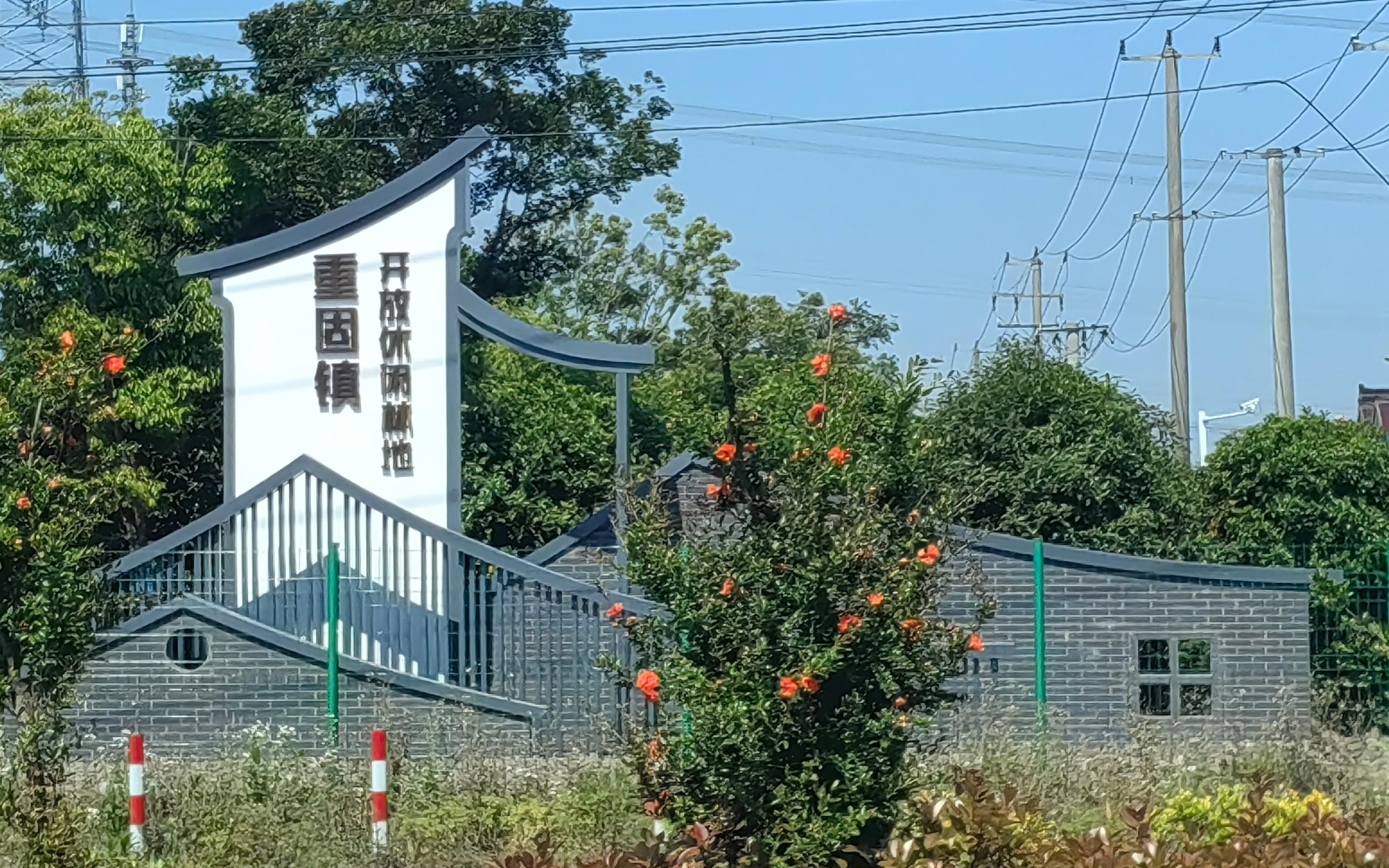 市林业总站赴青浦区调研指导开放休闲林地建设工作2.jpg
