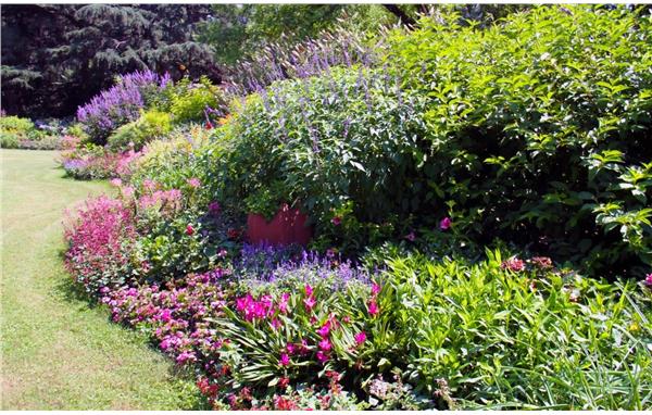 上海动物园花坛花境获2021年公园园艺展示一等奖