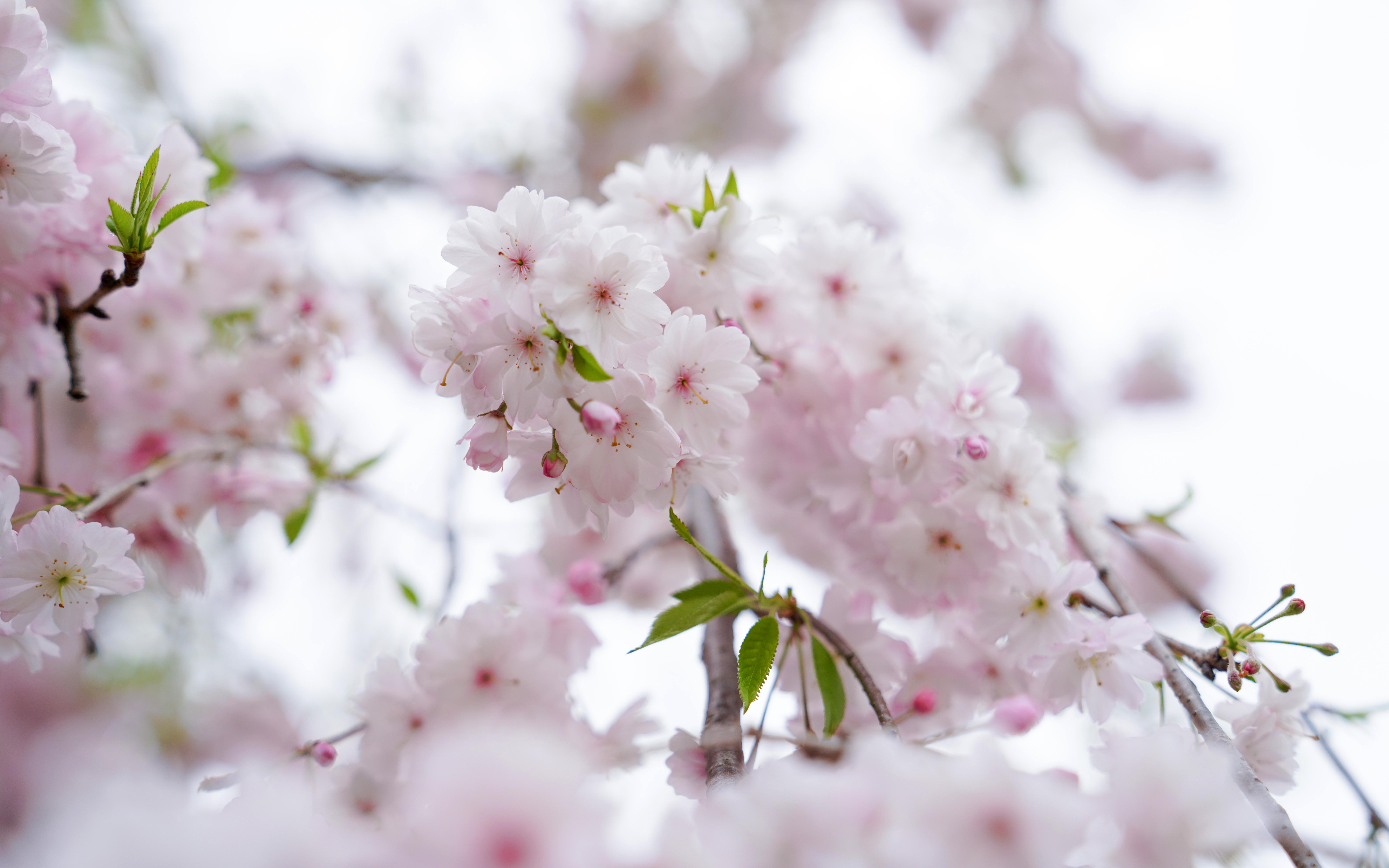 微信图片_20220402120514.jpg 微信图片_20220402120514.jpg