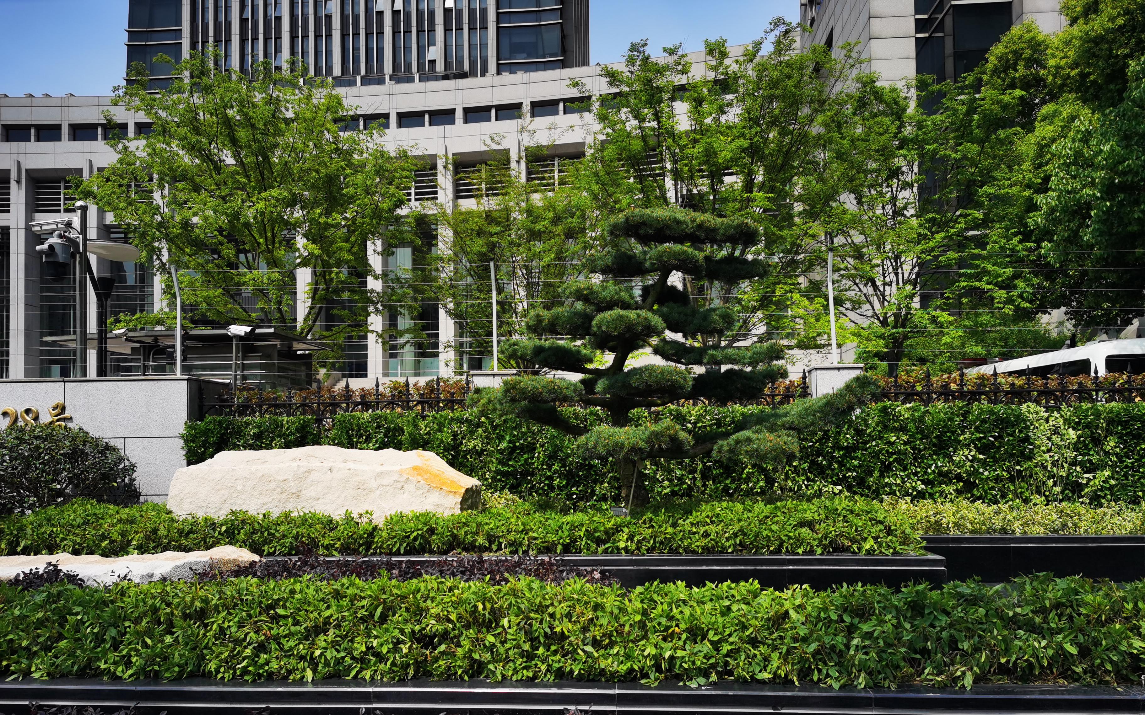 轨交14号线武定路站附近沿街绿化恢复项目顺利完工开放