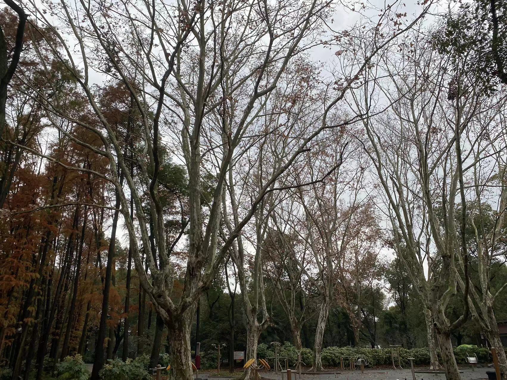 微信图片_20231219152309.jpg