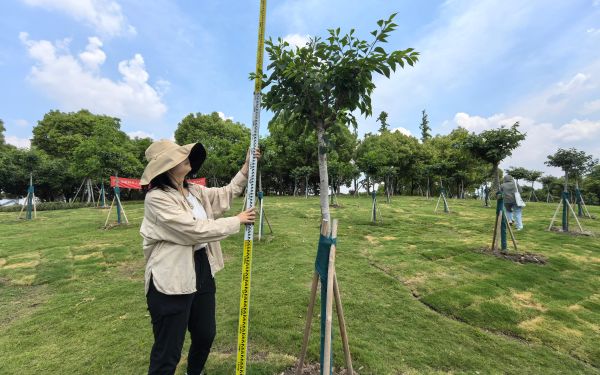 市林业总站赴松江区开展林木种苗质量抽查3.jpg