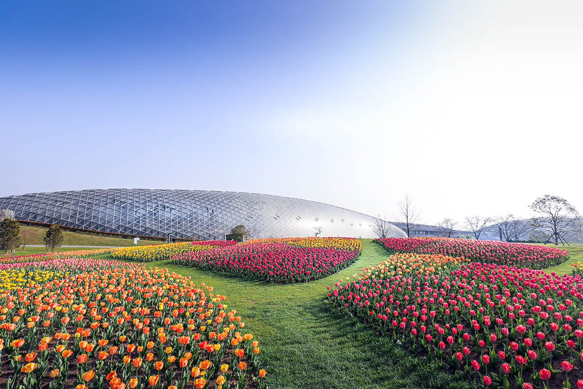 齐山植物园图片