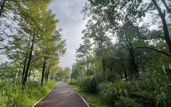 微信图片_20250925110427_449_11.jpg 微信图片_20250925110427_449_11.jpg