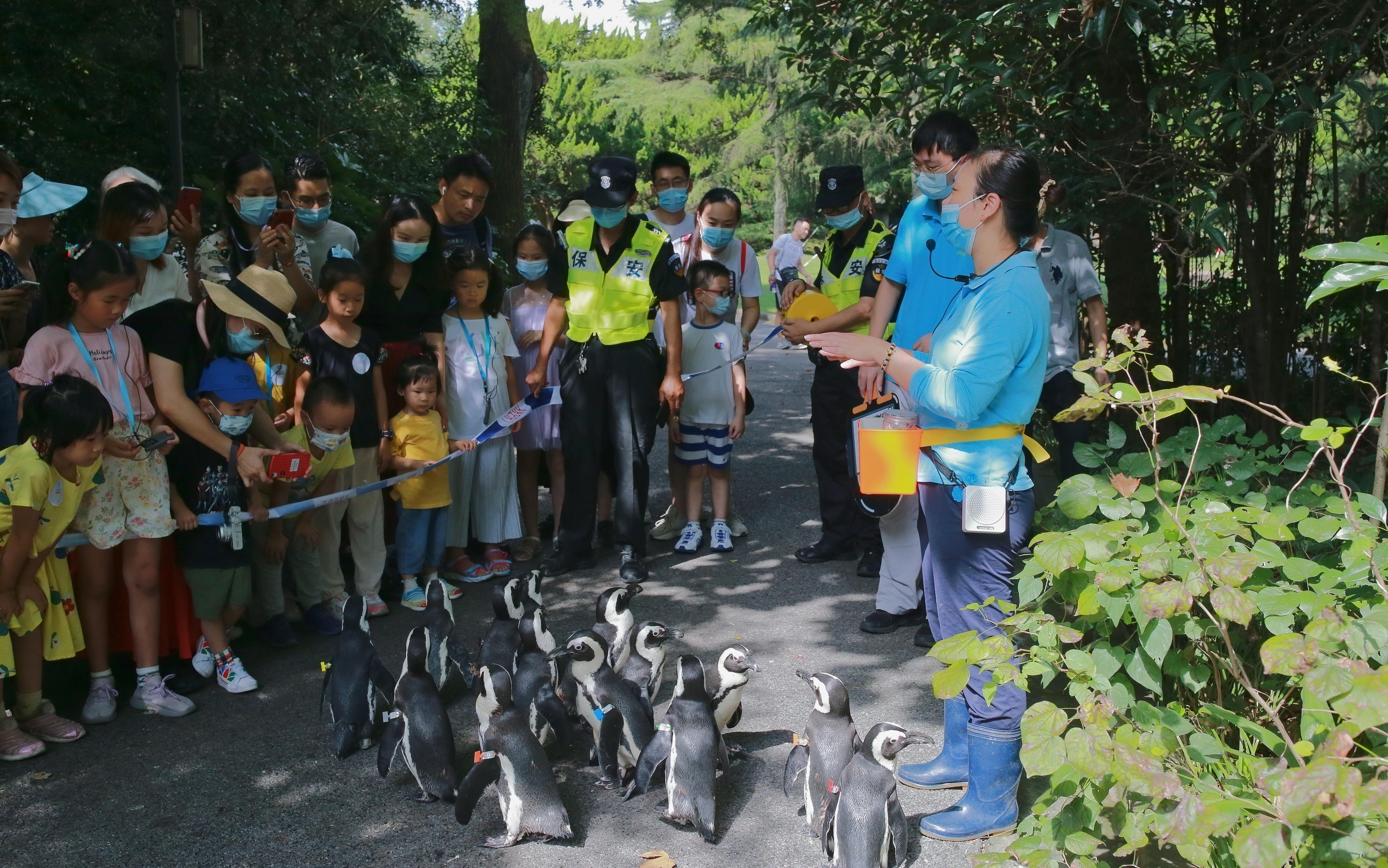 元旦上哪玩跟著上海動物園qq軍團出操