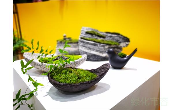 6-微景观5.jpg 6-微景观5.jpg