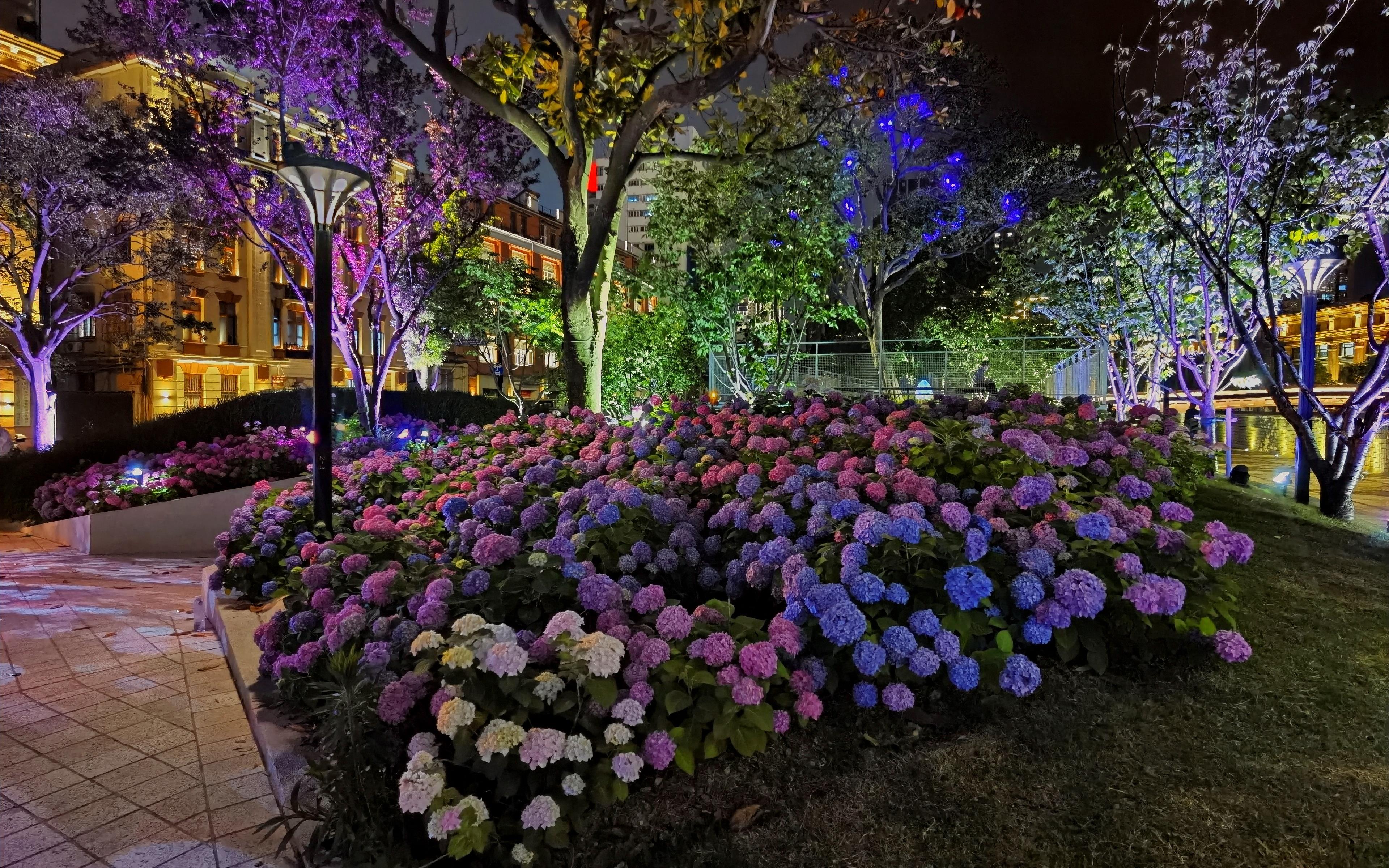 黄浦区苏州河绿道夜景 (3).jpg