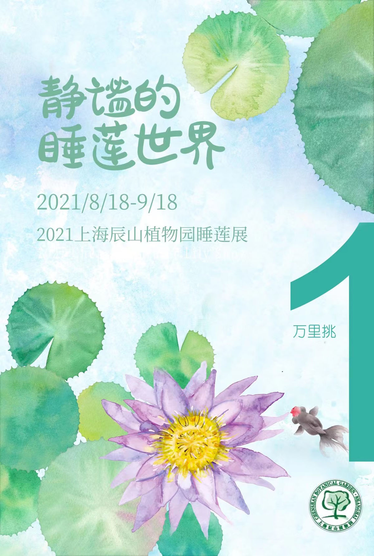 "2021辰山植物园睡莲展"开展倒计时,季节限定惊艳已盛开