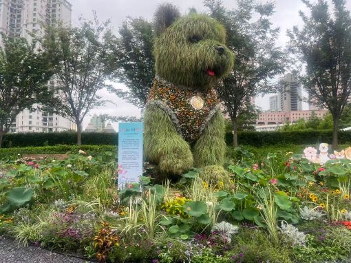 微信图片_20260620134640_578_334.jpg