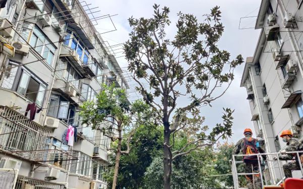 92c85713e36c386dfad9c2390cef5230.jpg 92c85713e36c386dfad9c2390cef5230.jpg