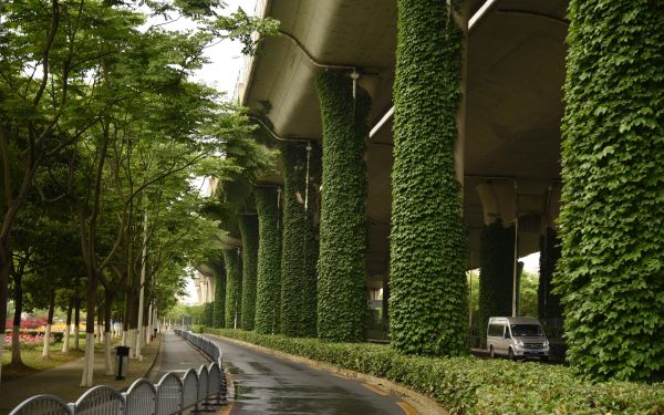图1_封皮-华夏路.JPG