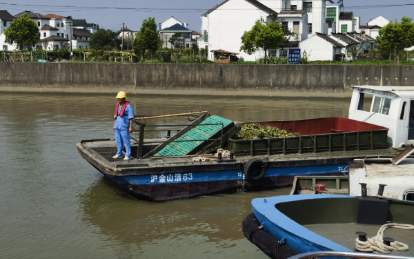 203 (1).png 203 (1).png