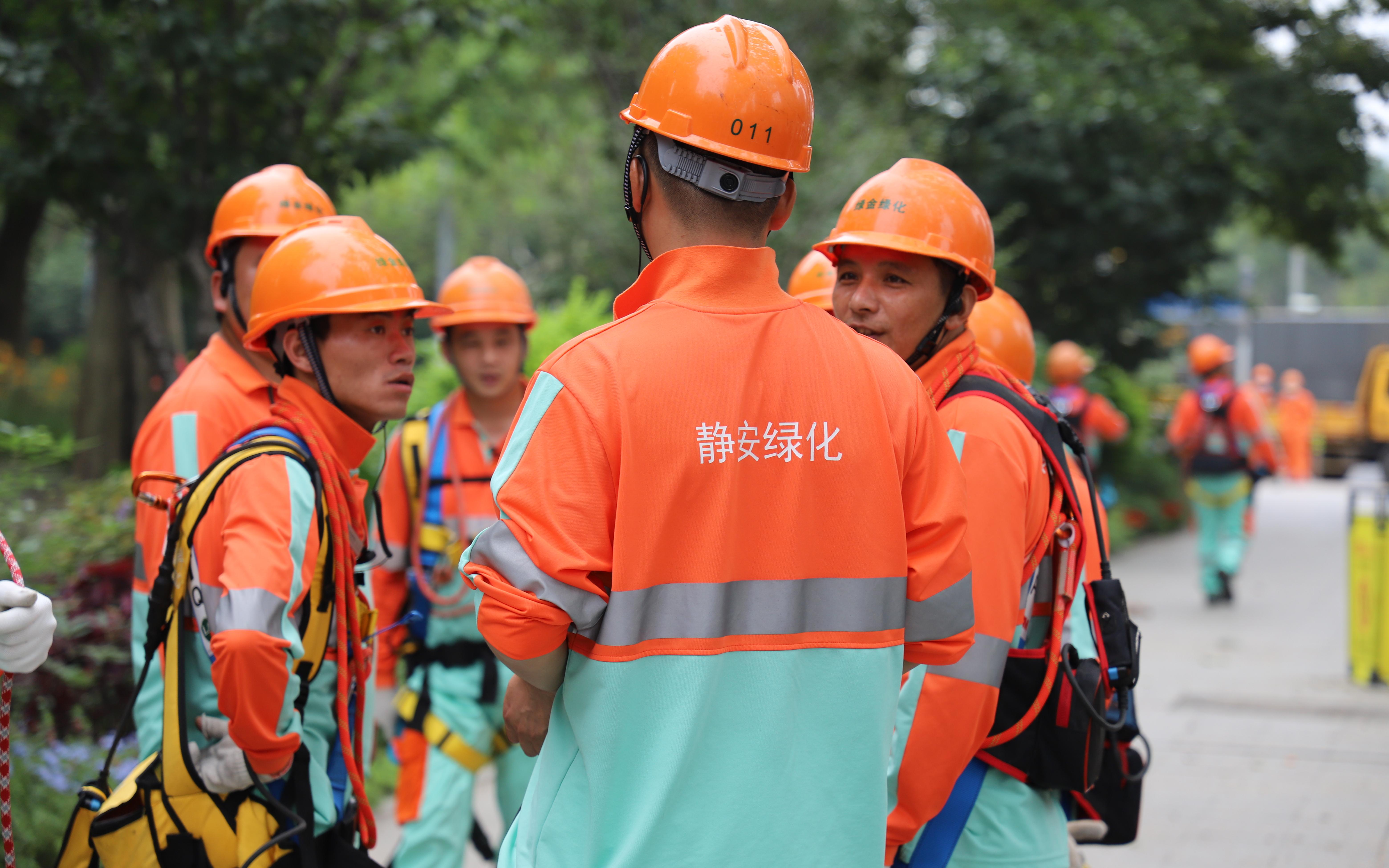 换新装 展新颜 上海各区绿化养护人员陆续完成夏装更换工作