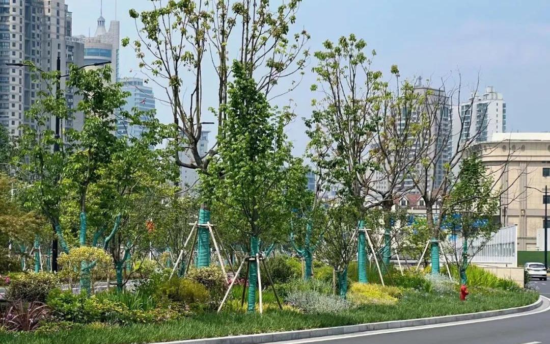 轨道交通14号线豫园站出入口绿化景观改造全面开放