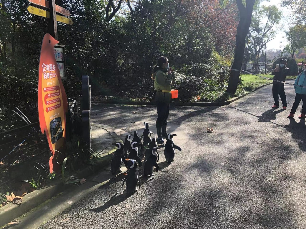 哔哩1.jpg 哔哩1.jpg