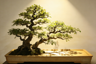4海派盆景的意境美学(下)2.png
