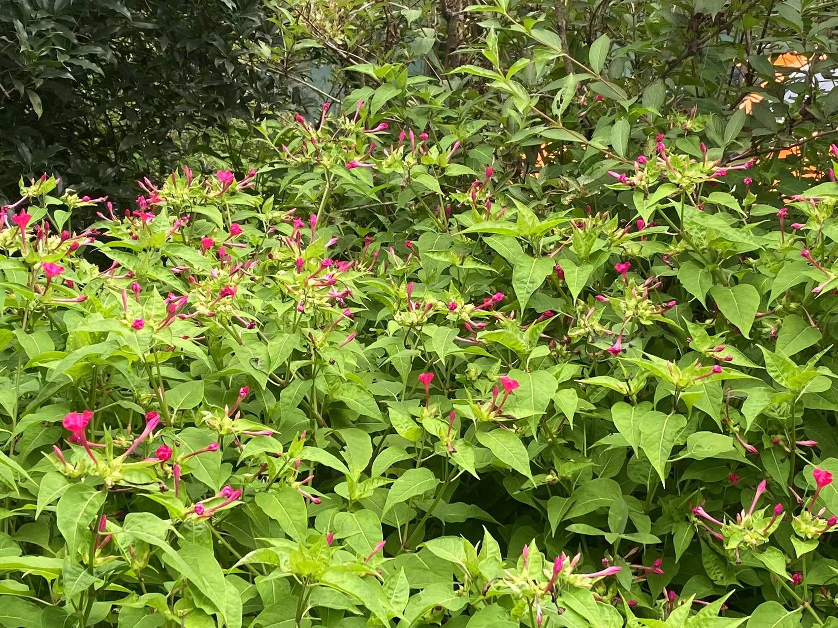 微信图片_20230719155504.jpg 微信图片_20230719155504.jpg