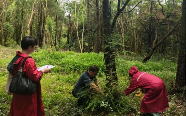 微信截图_20250814105635.jpg 微信截图_20250814105635.jpg