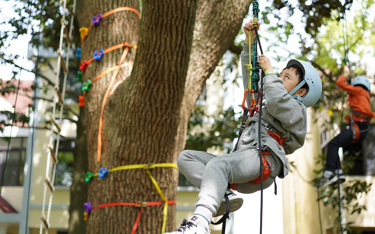 辰山攀树 (2).jpg