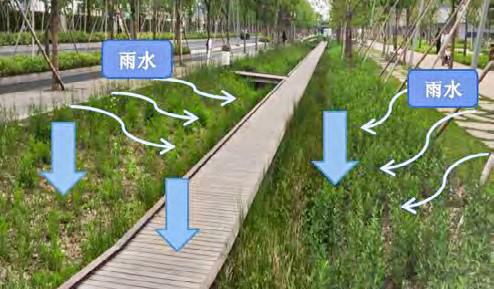 徐汇区云锦路跑道公园利用下凹式绿地系统进行改造.jpg