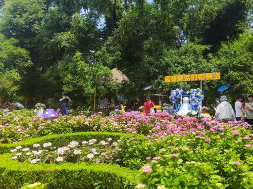 微信图片_20260604103146_1135_58.jpg