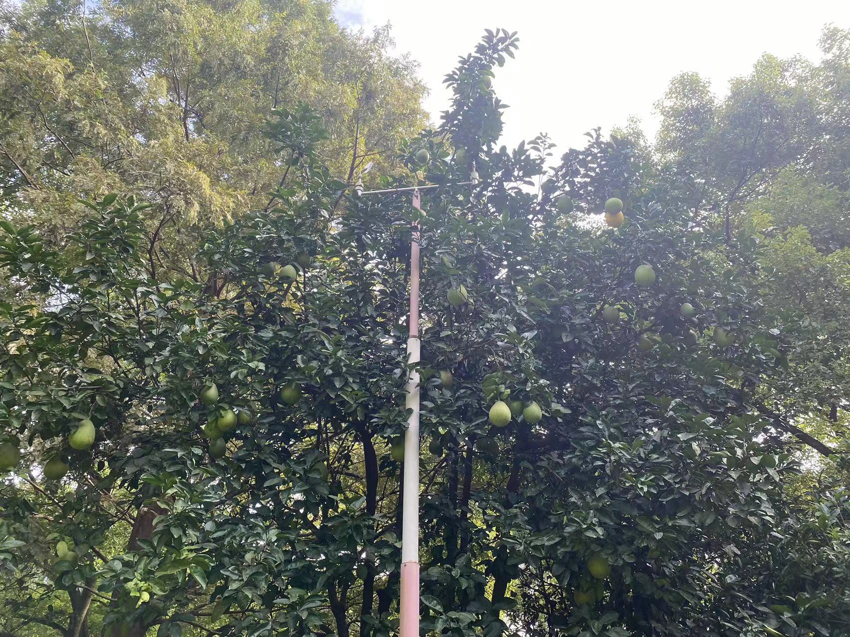 微信图片_20231008095655.jpg