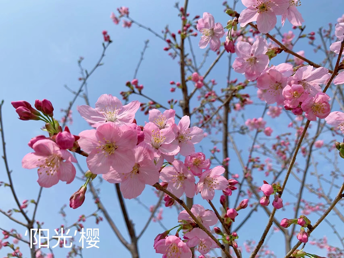 9、阳光.jpg