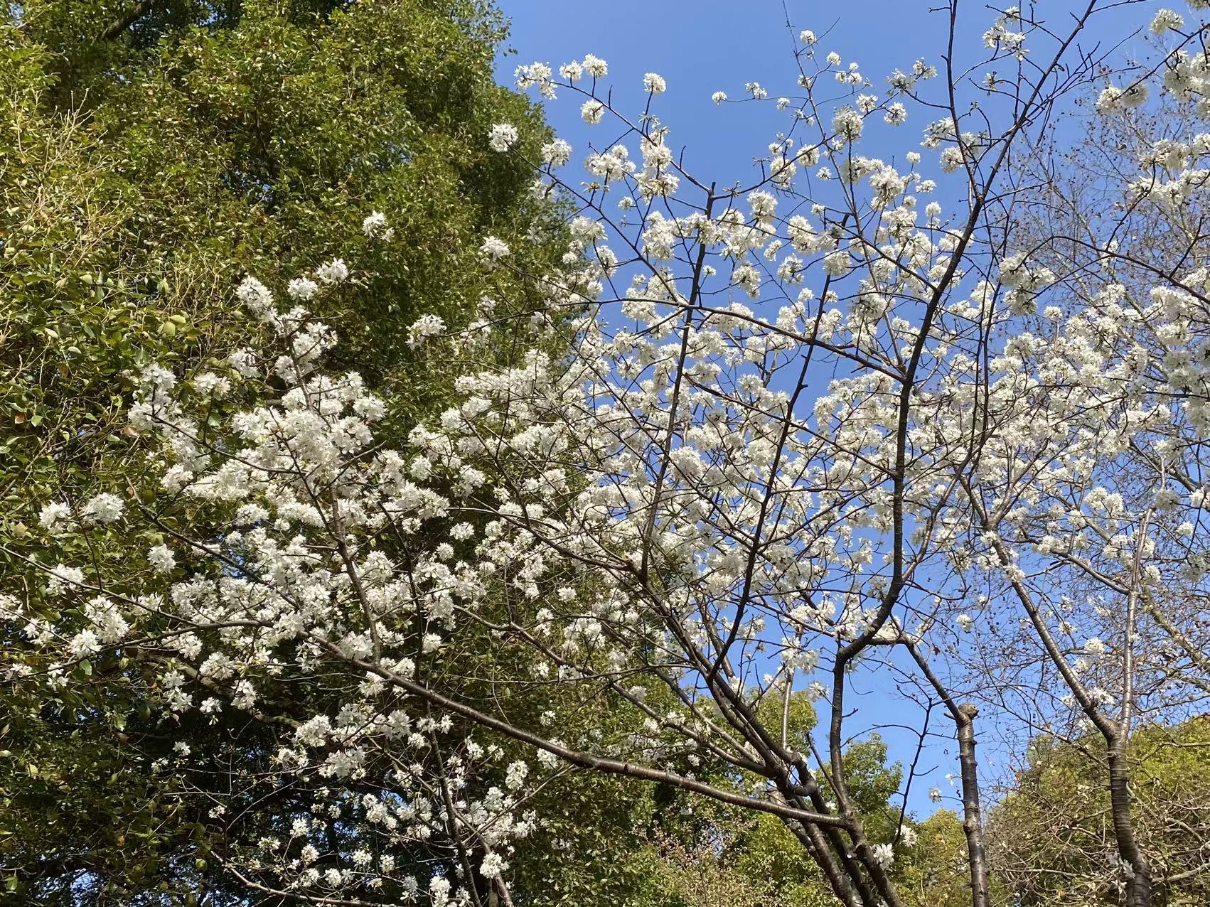 微信图片_20240320102004.jpg