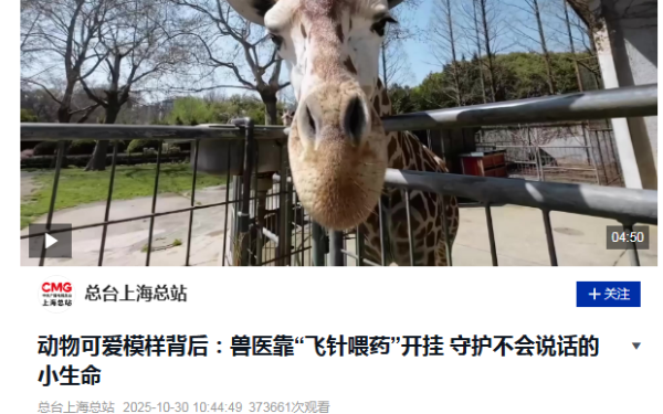 央视.png