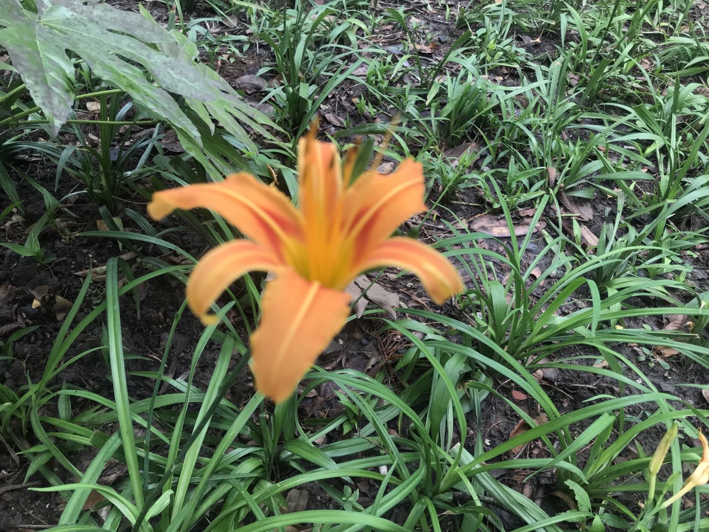 微信图片_20210812130301.jpg 微信图片_20210812130301.jpg