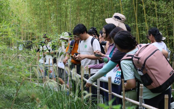 封面或合影.jpg 封面或合影.jpg