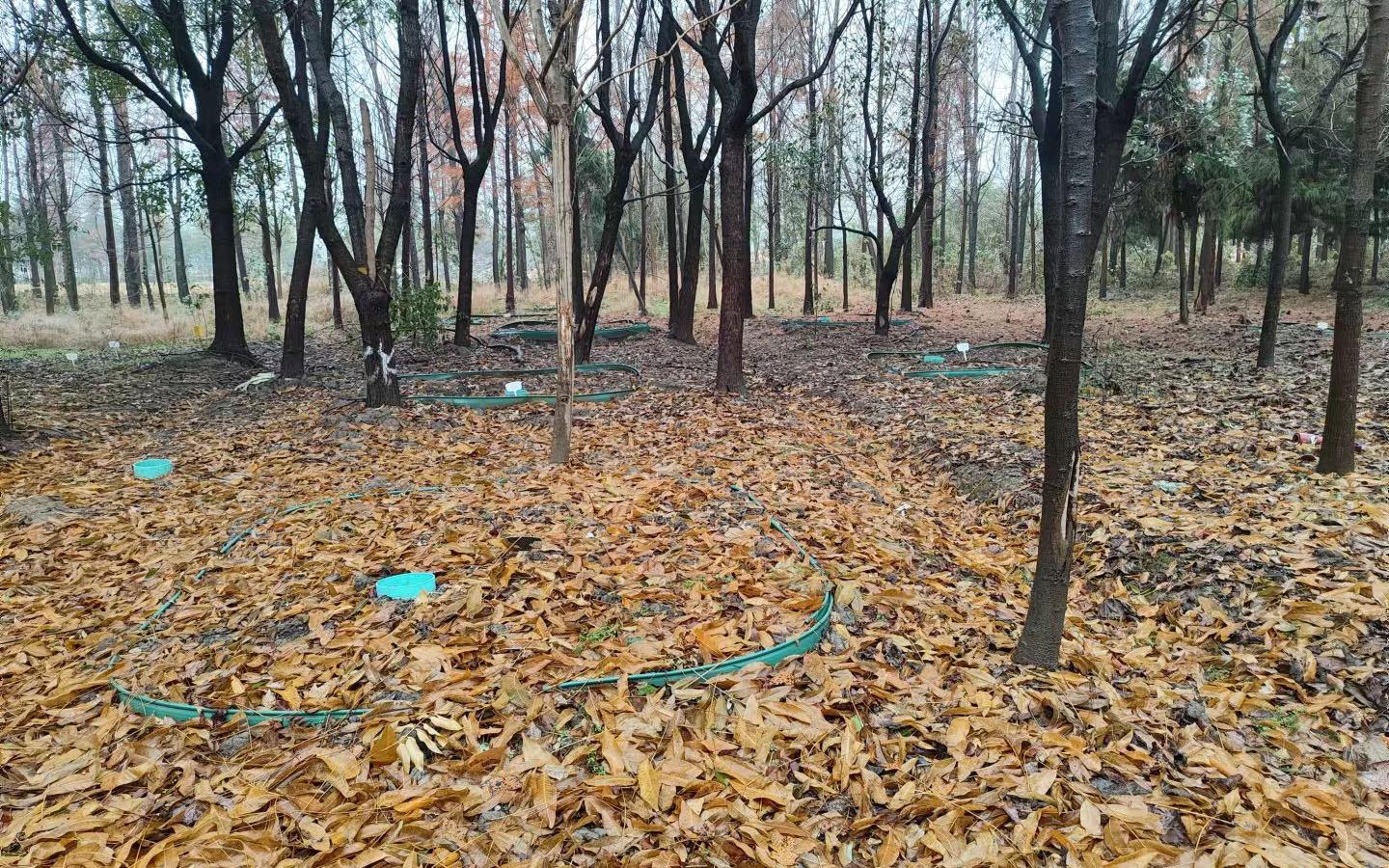试验小区.jpg 试验小区.jpg