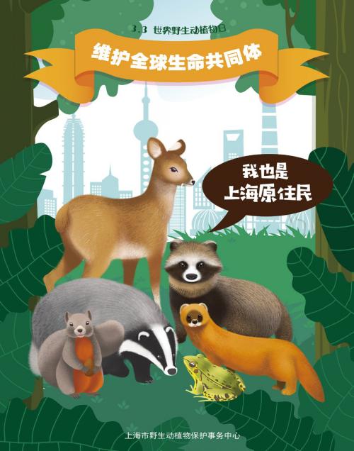 3-3月3日“世界野生动植物日”宣传海报.jpg