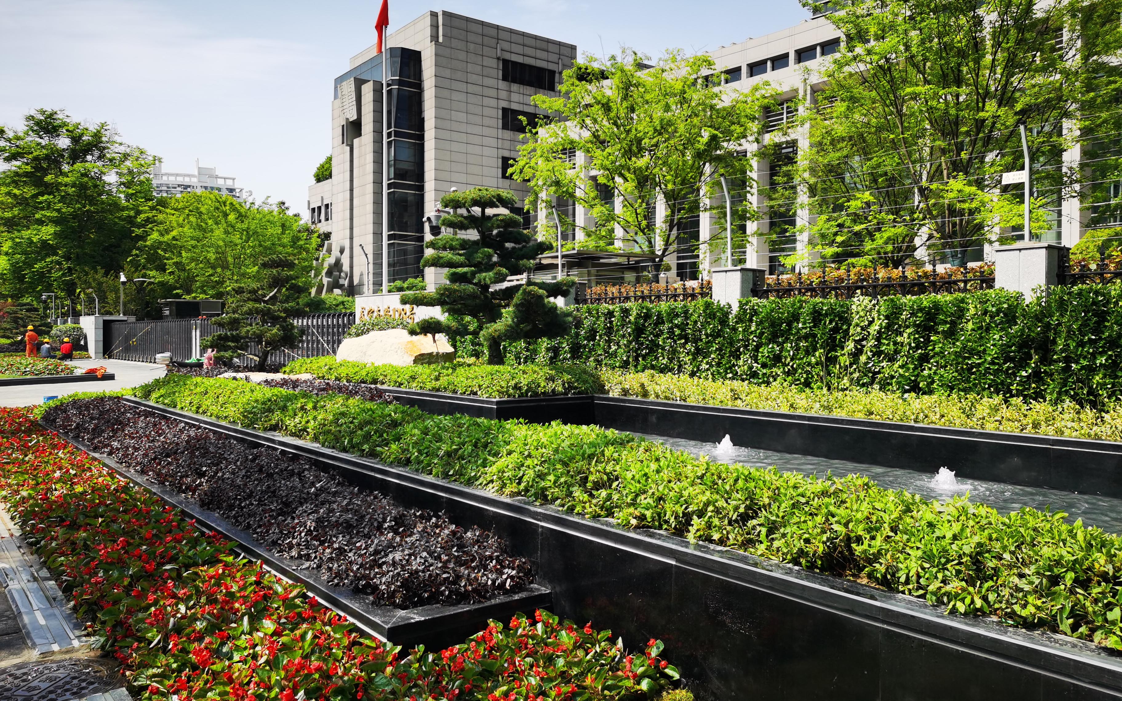 轨交14号线武定路站附近沿街绿化恢复项目顺利完工开放