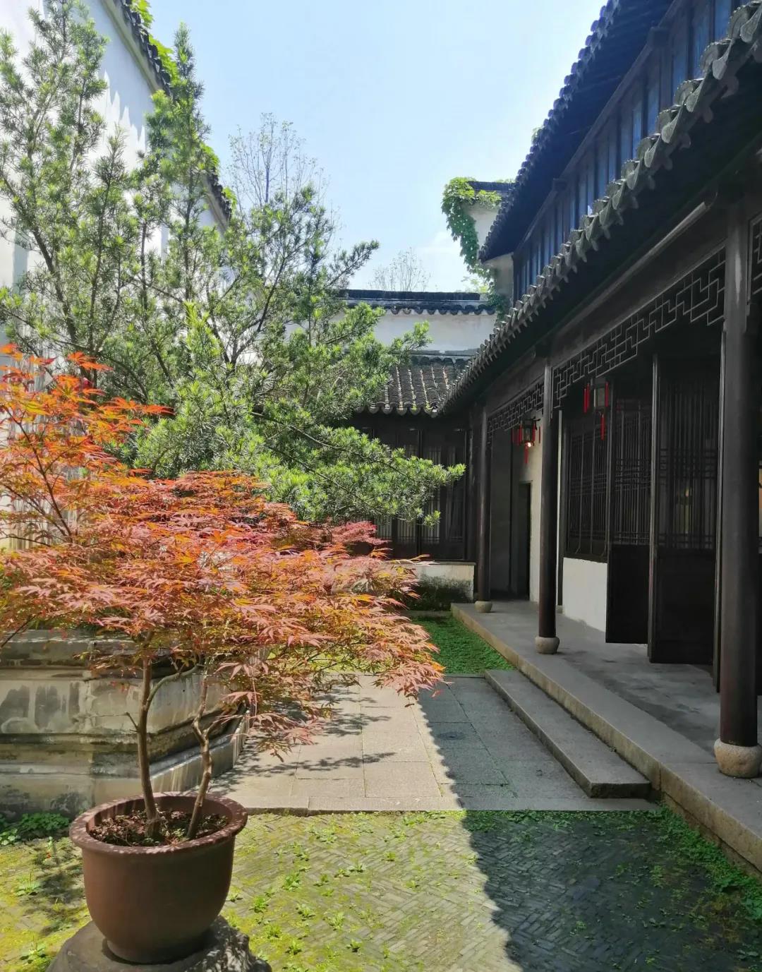 庭院花木的配置_江南园林文化_上海市绿化和市容管理局