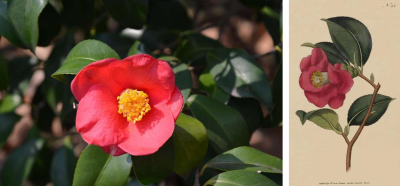 微信截图_20230112160026.png 微信截图_20230112160026.png