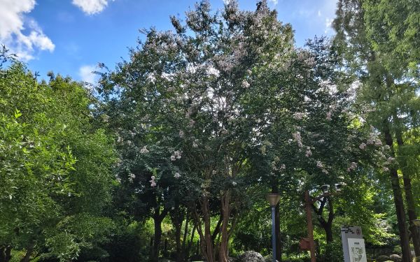 微信图片_20260825085000_1652_189.jpg