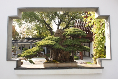 松掩霞石.jpg 松掩霞石.jpg