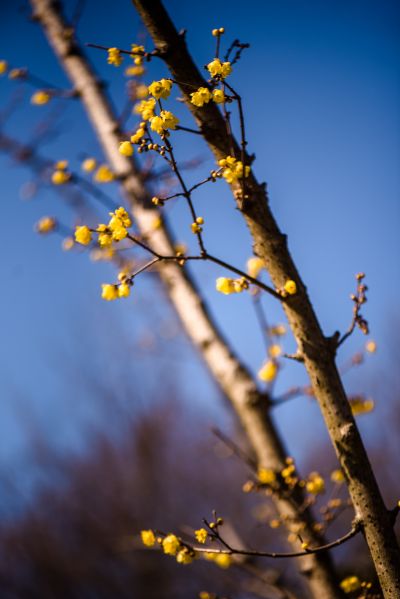 DSC_1666.jpg