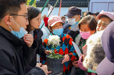 市民绿化节，共青森林公园组织为什么讲授菊花养护知识.jpg