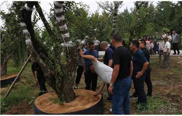 牢固树立宗旨意识 用心为企业办实事4.jpg