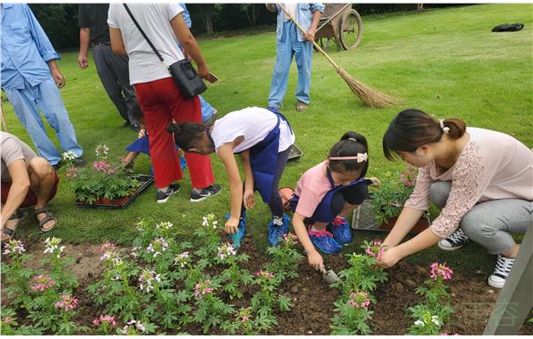上海滨江森林公园自然教育学校开展小小园艺师活动
