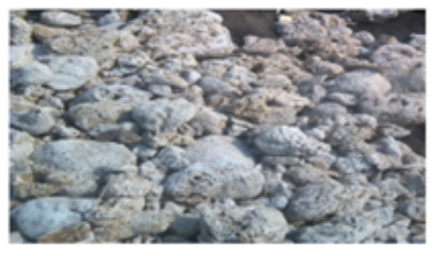 海母石1.png